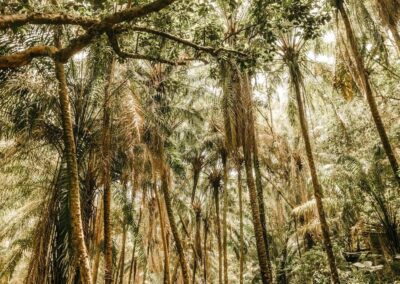 Le troisième projet