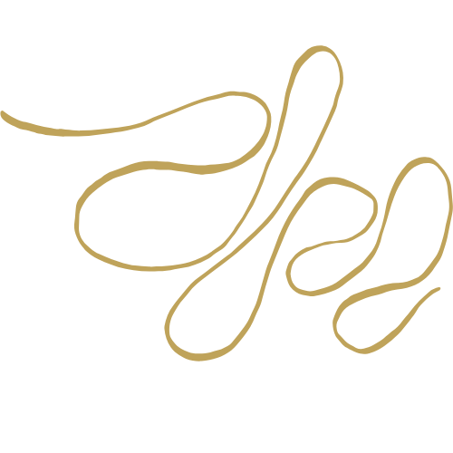 courbes ruhlmann artiste